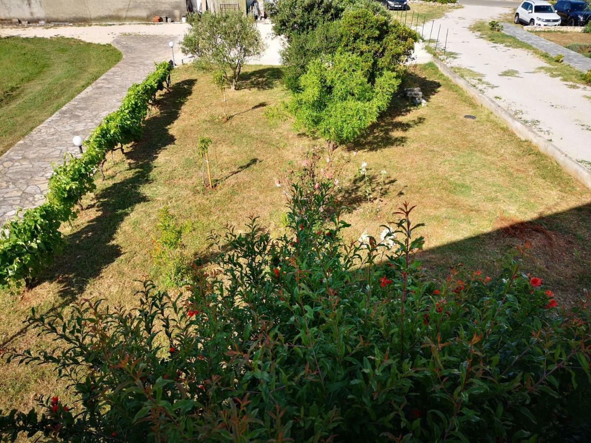 Apartmani Labud Sukosan Exterior photo